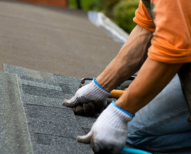 Best Flat Roof Repair Services  in Folcroft, PA